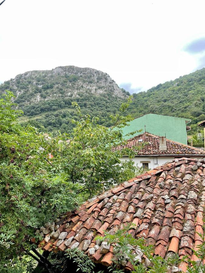 卡瑞纳Piso San Andres - Picos De Europa公寓 外观 照片